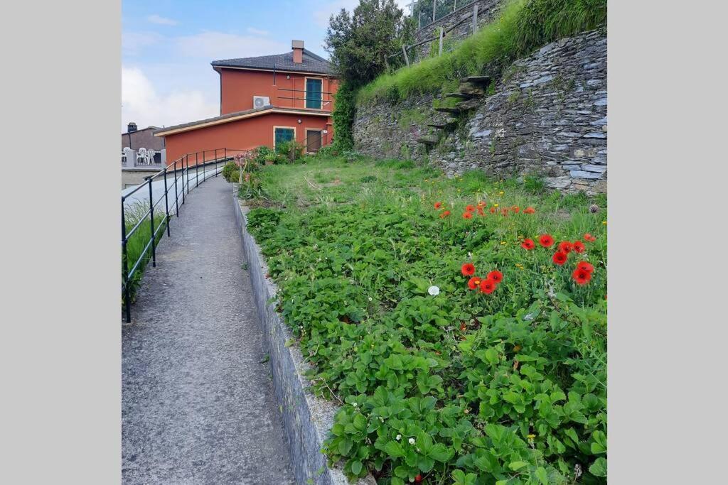 La Finestra Sul Golfo - Citra 010018-Lt-0033 - Villa Cogorno Exterior foto